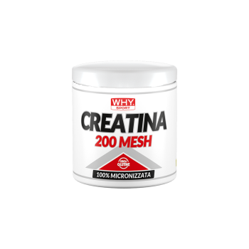 W166_Creatina mesh 200 g_singolo